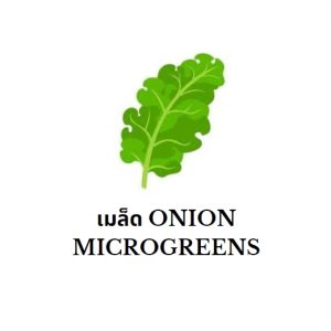เมล็ด Onion Microgreens