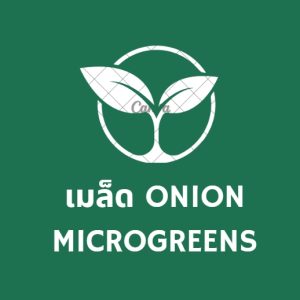 เมล็ด Onion Microgreens